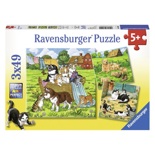 Ravensburger: Cats and Dogs 3x49 Palaa ryhmässä  @ Spelexperten (10108002)