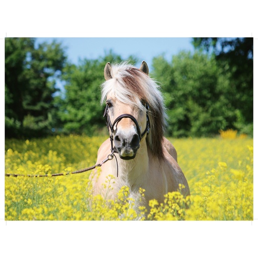 Ravensburger - White horse 500 Palaa ryhmässä PALAPELIT / < 750 palaa @ Spelexperten (10215038)