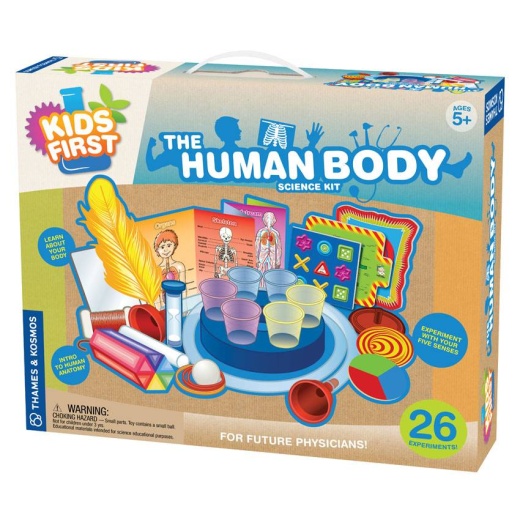 Kids First - The Human Body ryhmässä LELUT / Luo & kokeile @ Spelexperten (119138)