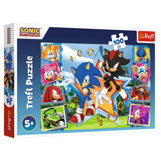 Trefl Meet Sonic 100 Palaa ryhmässä PALAPELIT / Lasten palapelit @ Spelexperten (16465)