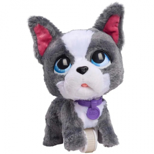 FurReal Walk-A-Lots - French Bulldog ryhmässä LELUT / Interaktiiviset lelut @ Spelexperten (272-28161)