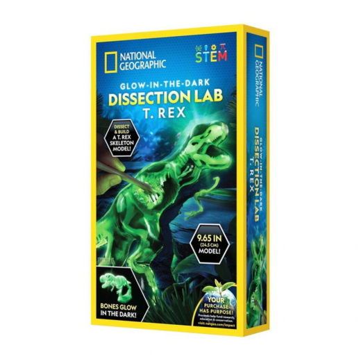 National Geographic Glow in the Dark T.Rex  ryhmässä LELUT / Luo & kokeile @ Spelexperten (29-2462)