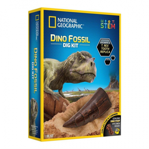 National Geographic Dinosaur Dig Kit ryhmässä LELUT / Luo & kokeile @ Spelexperten (29-6150)