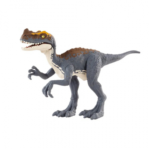 Jurassic World - Frenzy Pack Proceratosaurus ryhmässä LELUT / Figuurit ja leikkisarjat / Jurassic World @ Spelexperten (969-2504-JCL55)