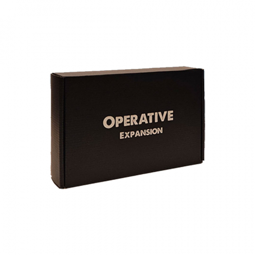 Earth Under Siege: Flashpoint - Operative Expansion ryhmässä SEURAPELIT / Lisäosat @ Spelexperten (AREEUSF71072)