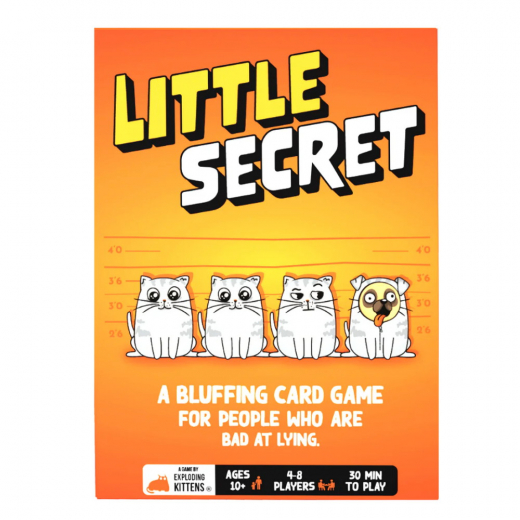 Little Secret ryhmässä SEURAPELIT / Juhlapelit @ Spelexperten (EKGLISE4)