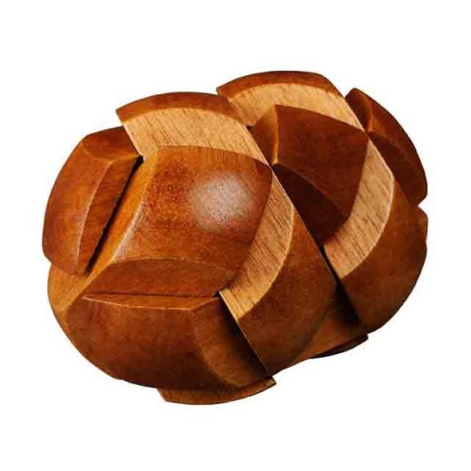 Great Minds: Darwins Dinosaur Egg of Evolution ryhmässä SEURAPELIT / Pulmia & puuhaa @ Spelexperten (PP1097)