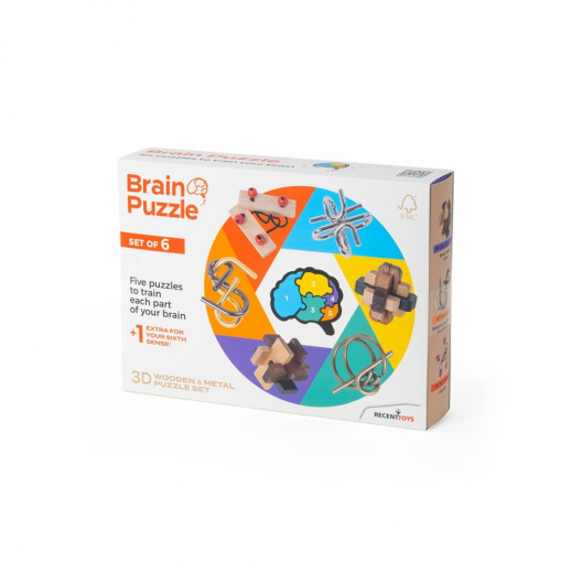 Brain Puzzle Set of 6 ryhmässä SEURAPELIT / Pulmia & puuhaa @ Spelexperten (RT5144)