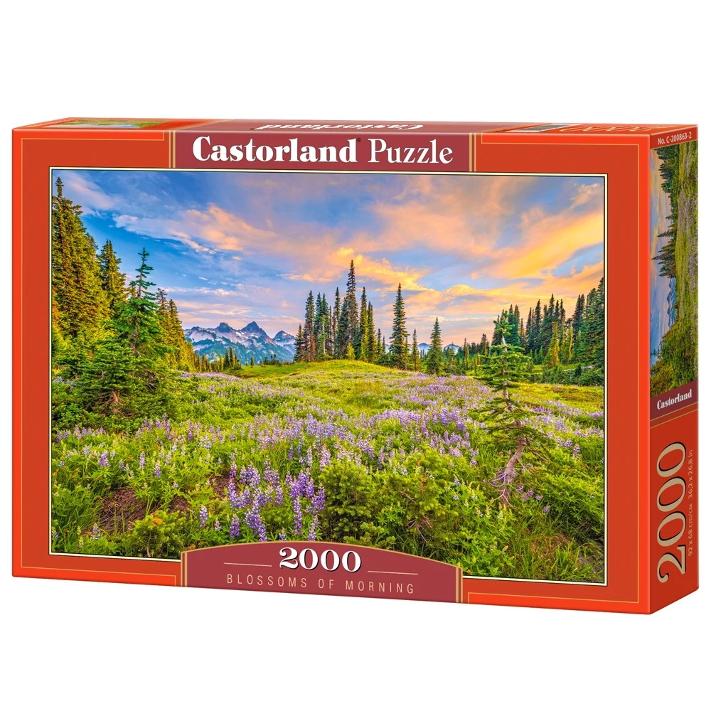Castorland - Blossoms of Morning 2000 Palaa