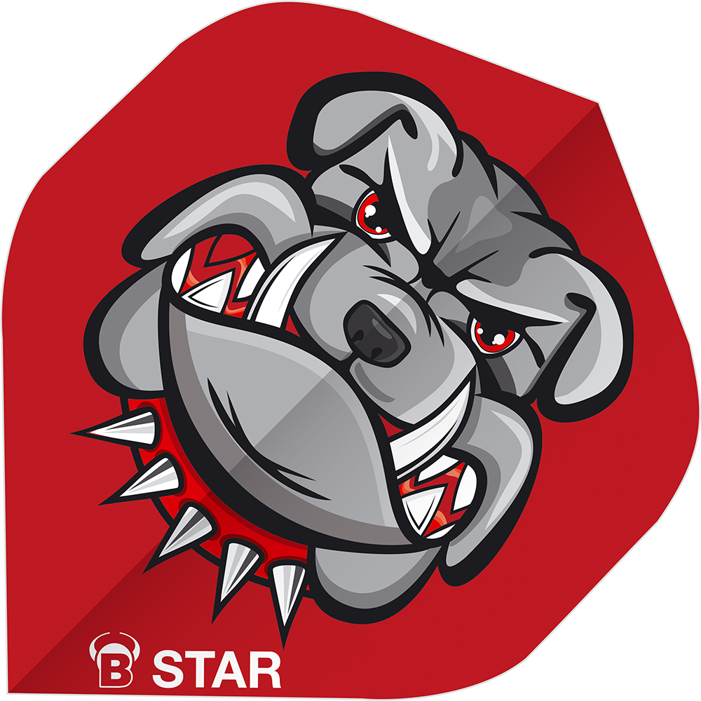 Bull's Flights - Star Spike