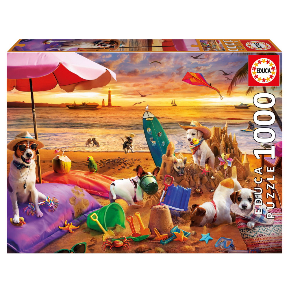 Educa Dogs playing at the beach 1000 Palaa