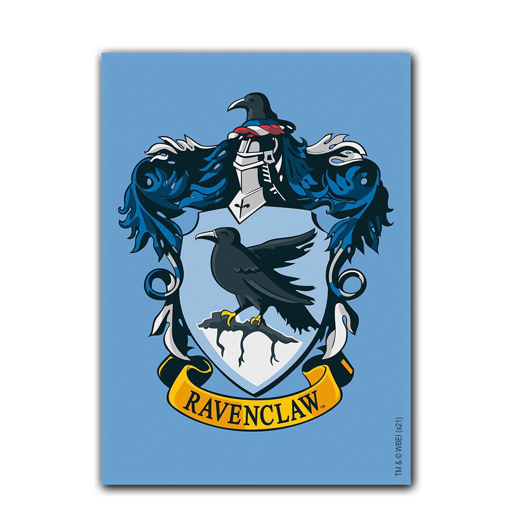Dragon Shield Matte Art – 100er Pack Sammelkartenhüllen Harry Potter Ravenclaw, Matt, Farbenfroh