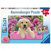Ravensburger: Me and My Pal 2x24 Palaa Ravensburger: Me and My Pal 2x24 Palaa