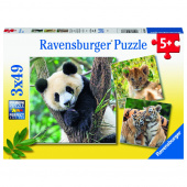 Ravensburger: Panda, Lion And Tiger 3x49 Palaa Ravensburger: Panda, Lion And Tiger 3x49 Palaa