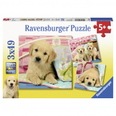 Ravensburger: Cute Puppy Dogs 3x49 Palaa