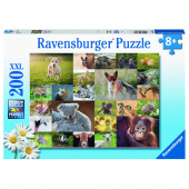 Ravensburger: Animal Babies XXL 200 Palaa
