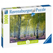 Ravensburger: Birch Forest 1000 Palaa