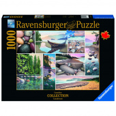 Ravensburger: West Coast Tranquility 1000 Palaa Ravensburger: West Coast Tranquility 1000 Palaa