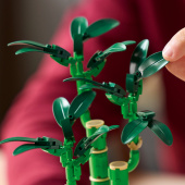 LEGO Botanicals - Onnenbambu LEGO Botanicals - Onnenbambu