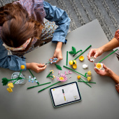 LEGO Botanicals - Pieni aurinkoinen kukkakimppu LEGO Botanicals - Pieni aurinkoinen kukkakimppu