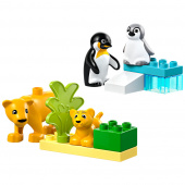 LEGO Duplo - Luonnoneläinperheet: pingviinit ja leijonat LEGO Duplo - Luonnoneläinperheet: pingviinit ja leijonat