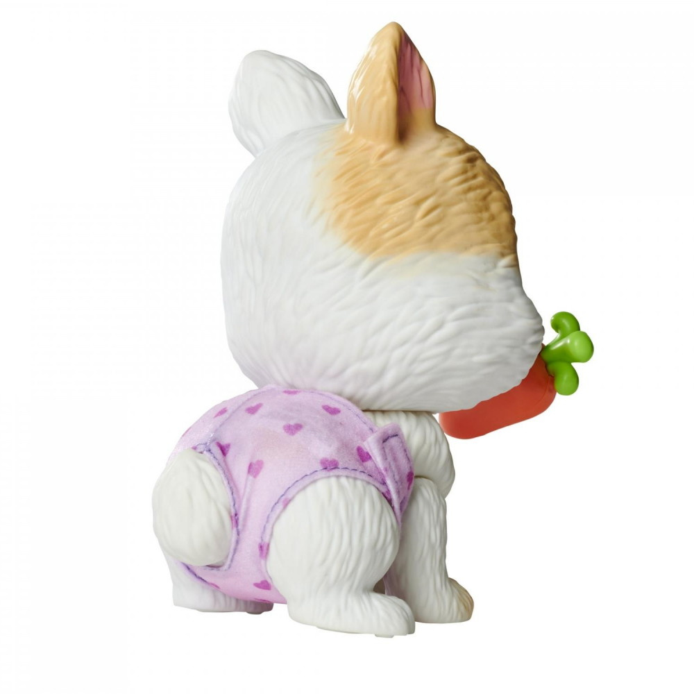 Pamper Petz - Kanin poikanen