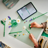LEGO Botanicals - Päivänkakkarat LEGO Botanicals - Päivänkakkarat