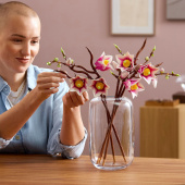 LEGO Botanicals - Magnolian oksat LEGO Botanicals - Magnolian oksat