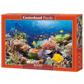 Castorland - Coral Reef Fishes 1000 Palaa