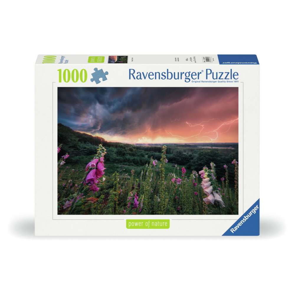 Ravensburger: Dreamy Thunder 1000 Palaa