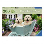 Ravensburger: Golden Retriever 200 XL Palaa Ravensburger: Golden Retriever 200 XL Palaa