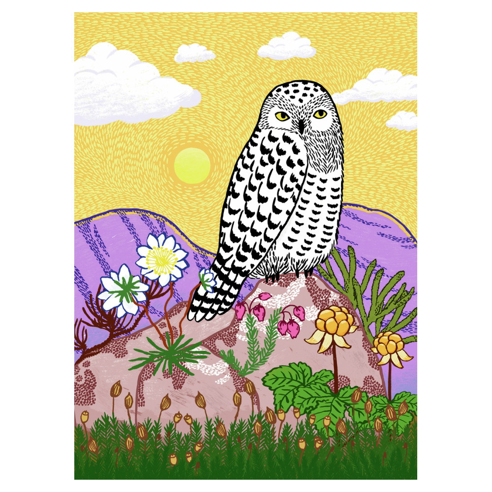 Ravensburger: Snowy Owl 500 Palaa