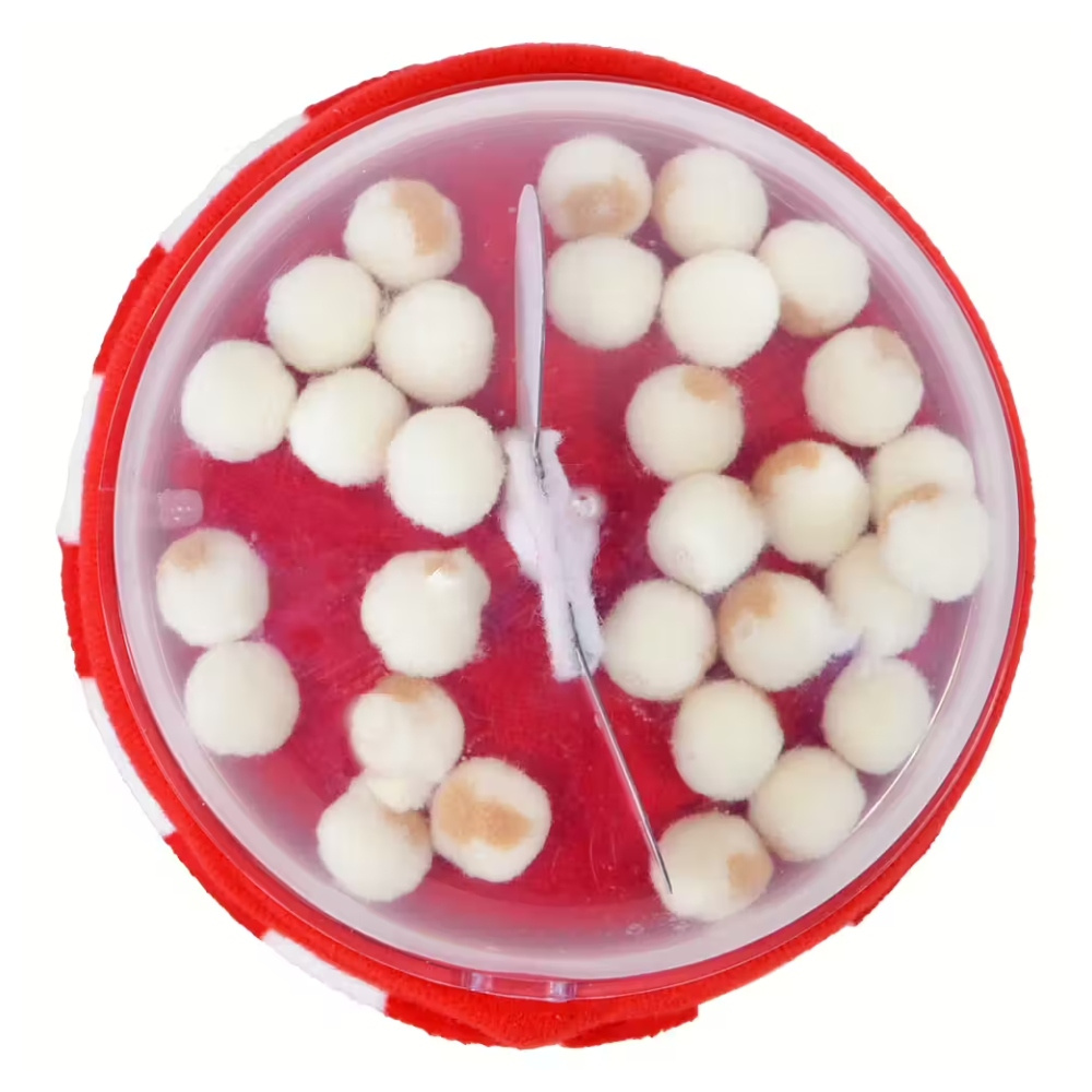 Cutie Food Happy food Matkimislelu - Popcorn 