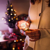 Bulb Fiction, Joulupukki Bulb Fiction, Joulupukki