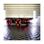 RC Area Drifter RC Area Drifter