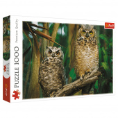 Trefl: Owls 1000 Palaa