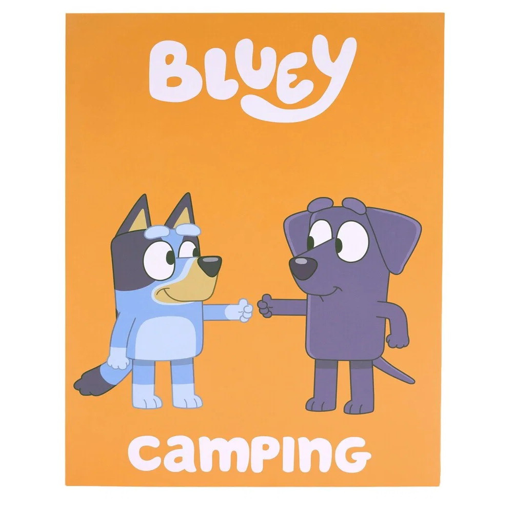 Bluey Camping