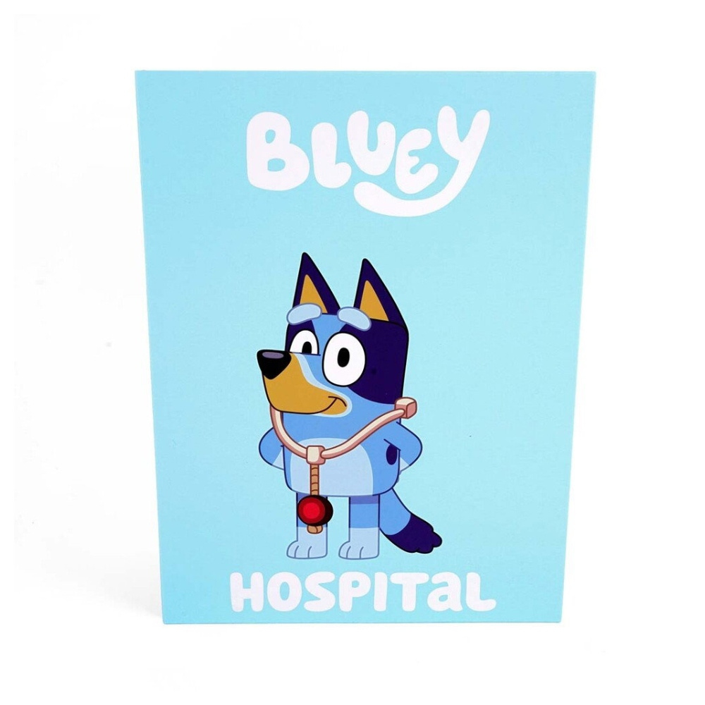 Bluey Roolileikkisetti Sairaala