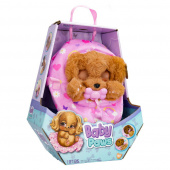 Baby Paws - Maggie The Cocker Baby Paws - Maggie The Cocker