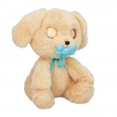 Baby Paws - Labrador Baby Paws - Labrador