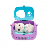 Baby Paws Just Born Cat Baby Paws Just Born Cat