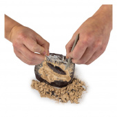 National Geographic Dinosaur Dig Kit National Geographic Dinosaur Dig Kit