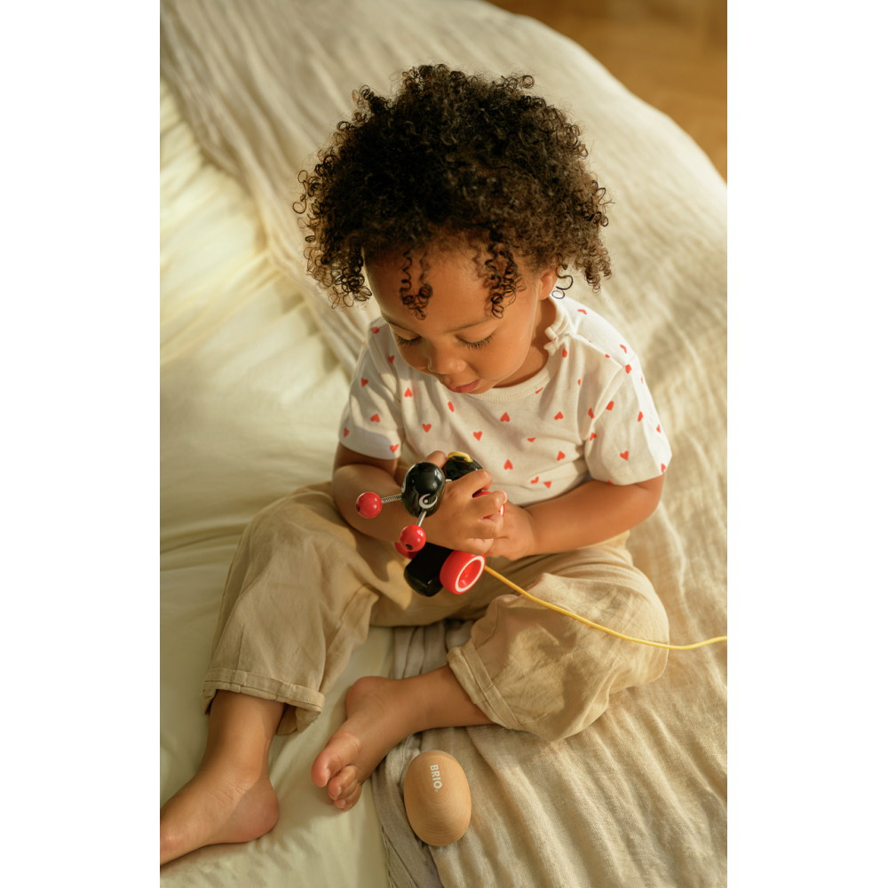 Brio Vedä Muurahaisen kanssa