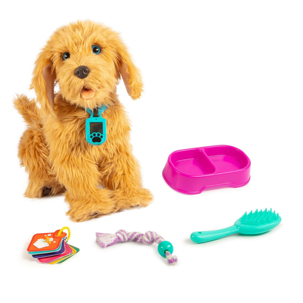 My Fuzzy Friend - Labradoodle