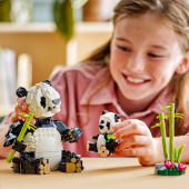 LEGO Creator - Villieläimet: Pandaperhe LEGO Creator - Villieläimet: Pandaperhe