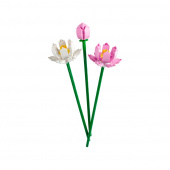 LEGO Botanicals - Lootuskukat LEGO Botanicals - Lootuskukat