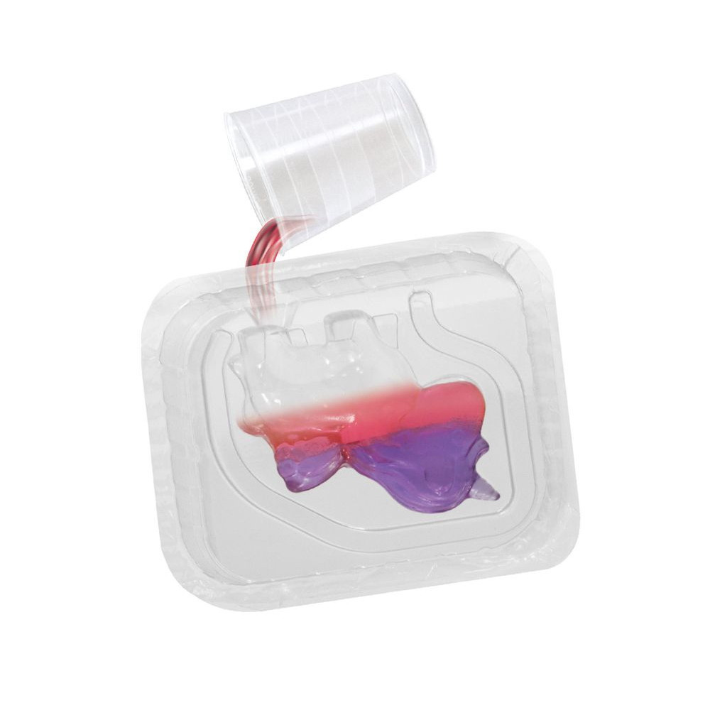 Sience4you Valotehtaan Lumottu Versio