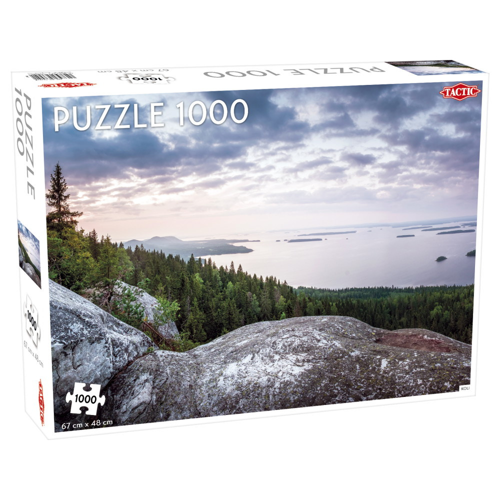 Tactic Palapeli: Koli 1000 palaa