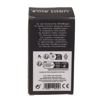 Lamp Light Bulb Middlefinger