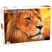 Tactic: African Lion 500 Palaa Tactic: African Lion 500 Palaa
